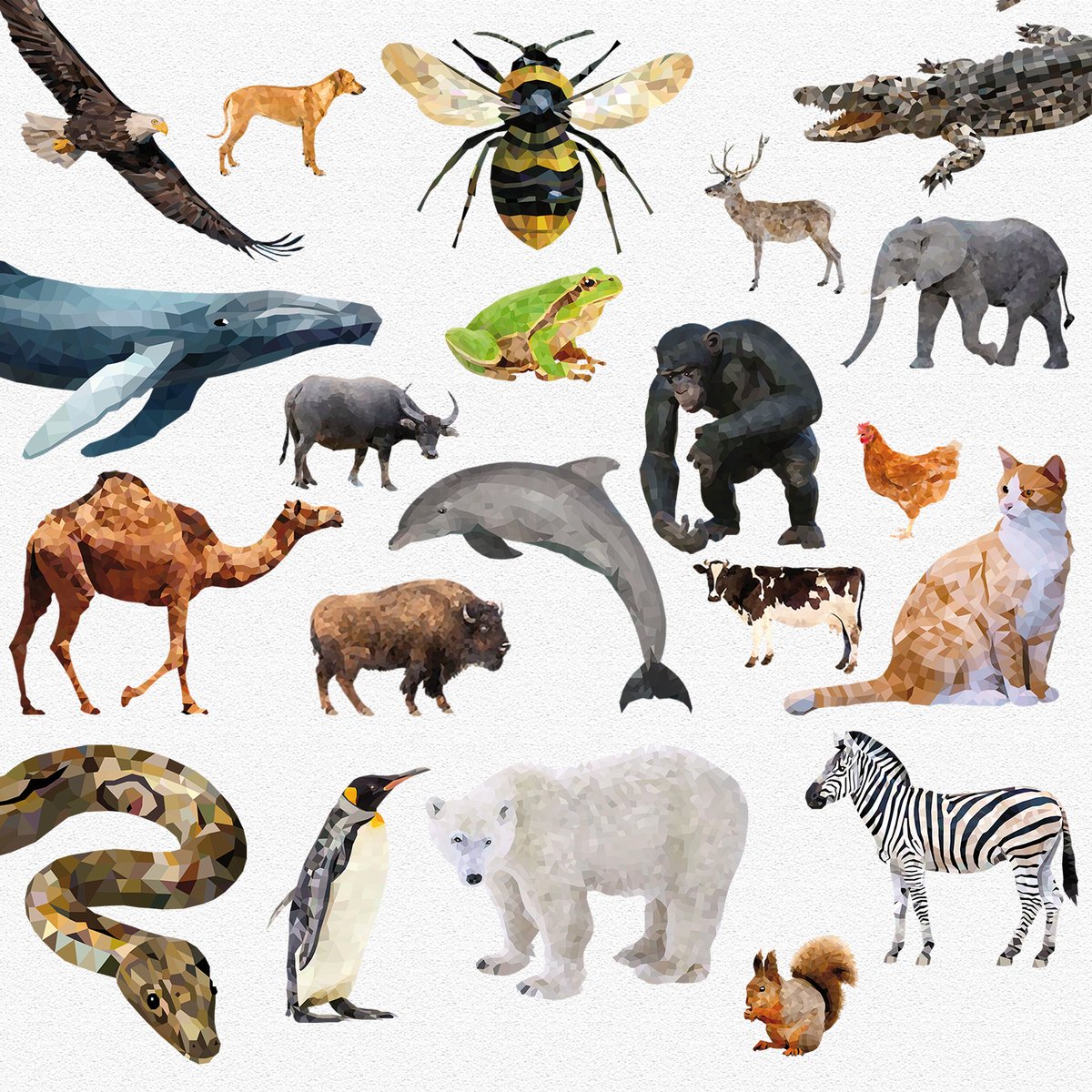 dfonedesign's tweet photo. A collection of more than 80 polygonal animals in Adobe Illustrator.
Ideal for branding, textiles, packaging, artwork, wallpaper, books, invitations &amp; much more.
https://t.co/WiEDDiwEz9
https://t.co/m6xGbea1CG
#branding #artwork #packaging #textiles #polygonalillustrations https://t.co/Ztx3Hj4eRu