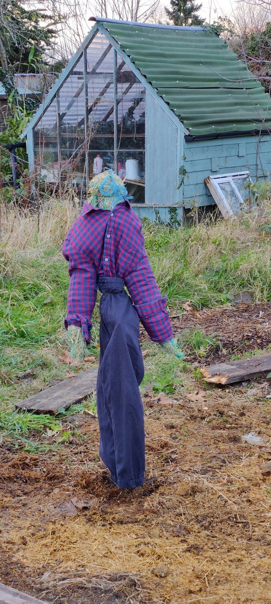 A scary half-built #scarecrow! Needs a few more pies!