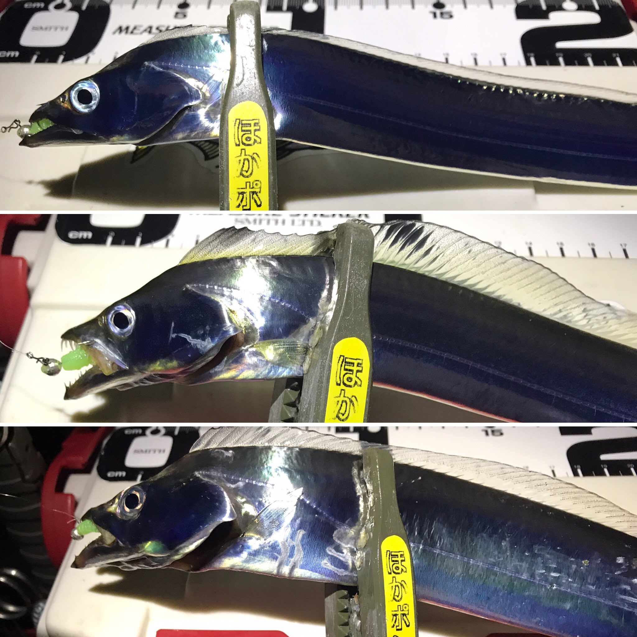 釣り名言格言ときどき釣りガール推す Turimeigen999 Twitter