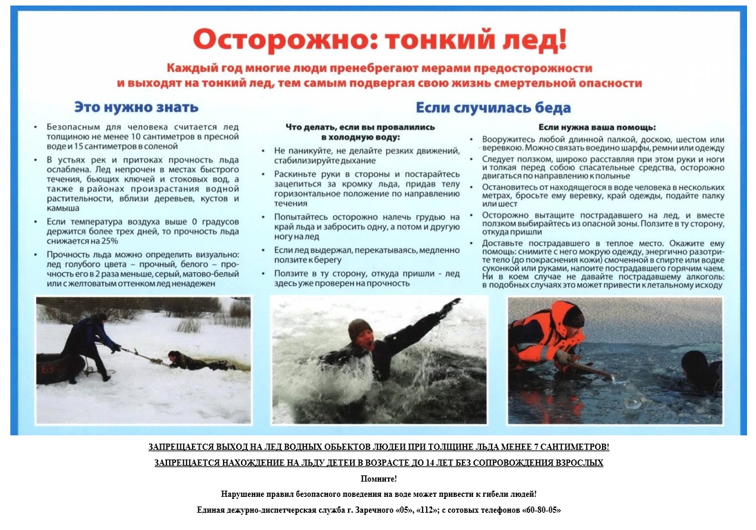 МАОУ ДО ЦДТТ tweet media