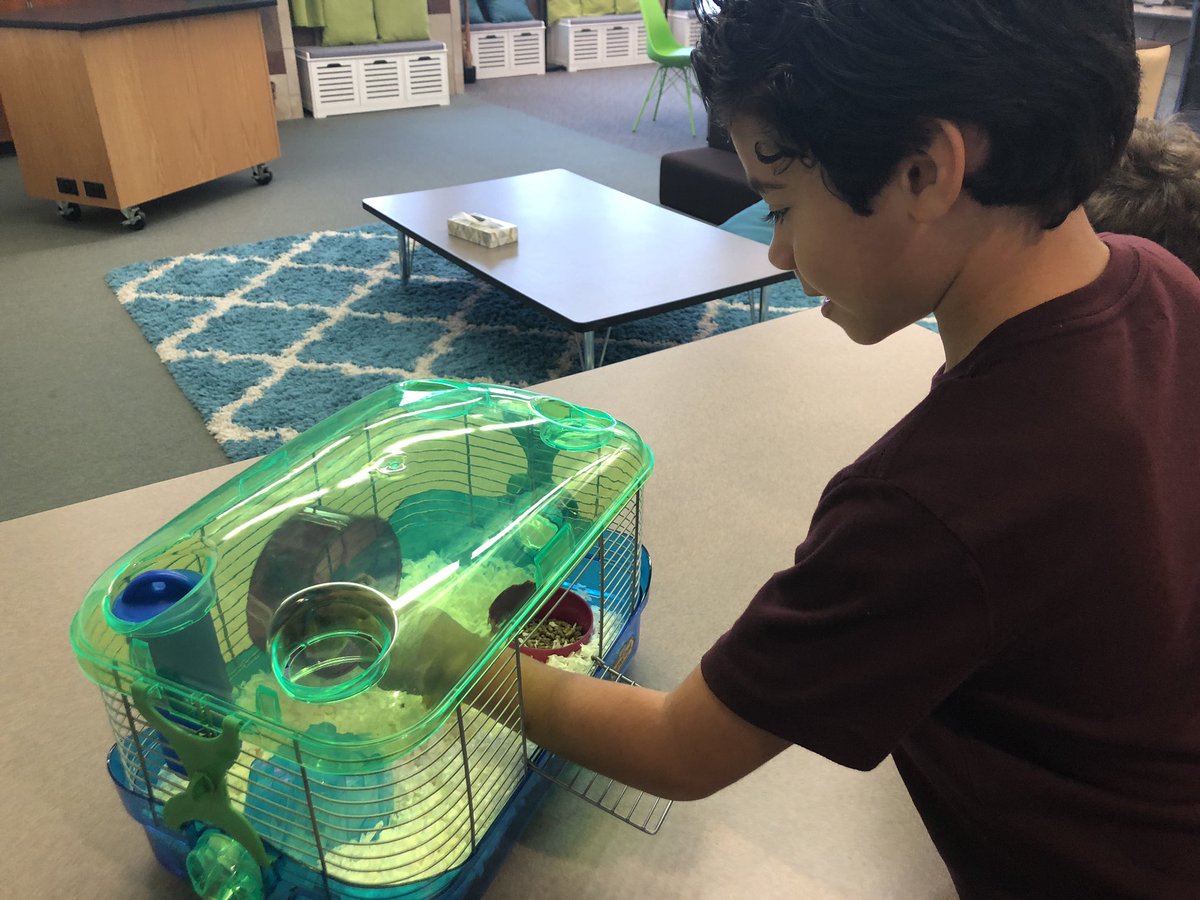 MrsAFroom's tweet photo. #FroomsRoom is so excited to finally have our pet hamster, thanks to our @PetsinClassroom grant and @Petco! 😍❤️🐹
#@HumbleISD_ASE #3rdGrade https://t.co/IS2LCl7oSo