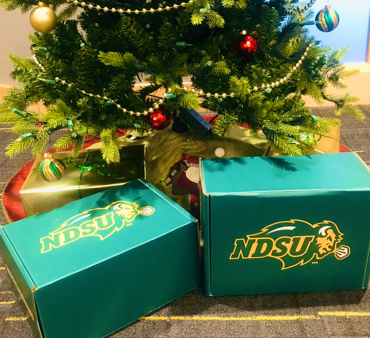 NDSU OFFICIAL GEAR tweet media