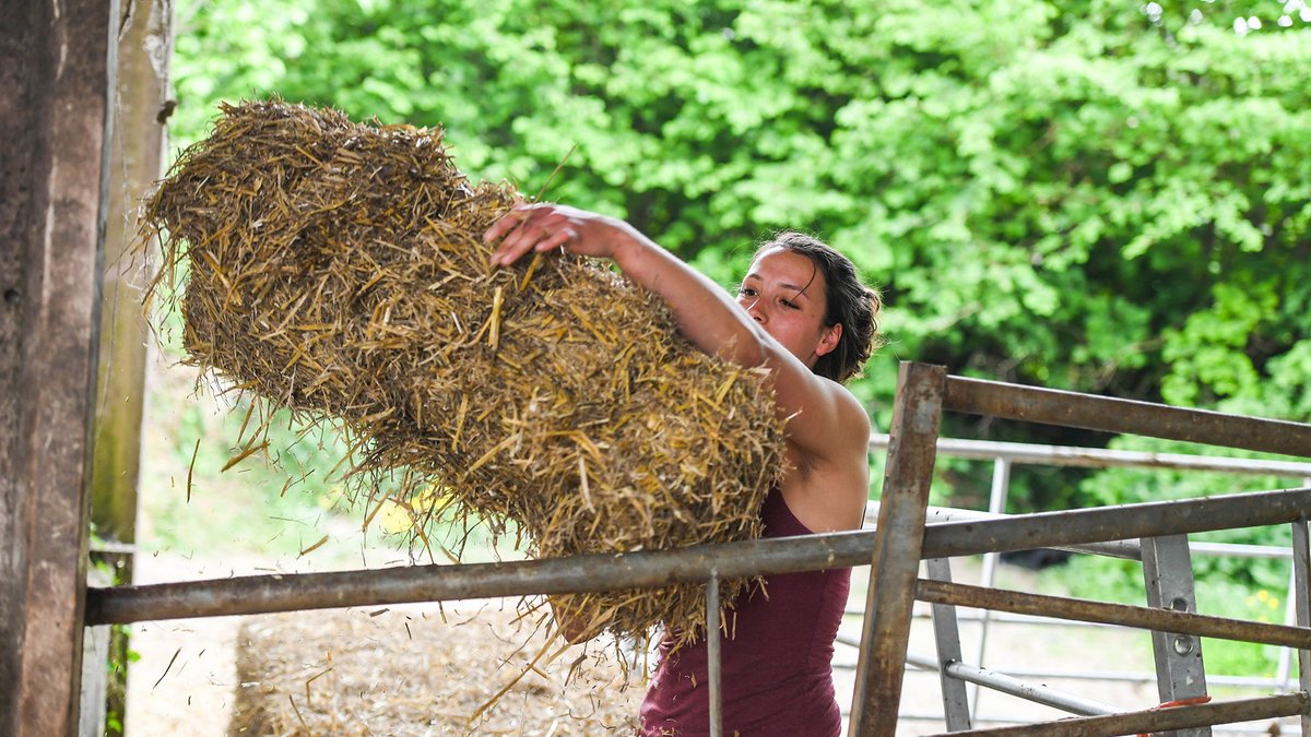 bit.ly/3lSysgR We are looking for a talented senior #administrator with an appreciation of the #countryside &amp; #ruralcommunities to  join the team <a href="/countrysidefund/">The Royal Countryside Fund</a> ! Closing soon - #applynow #CharityJobs #Adminjobs
