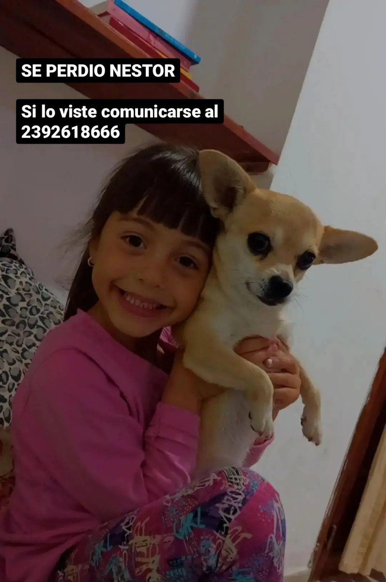 micaperezfern's tweet photo. 🥺💔 https://t.co/xxwwNhGMM2