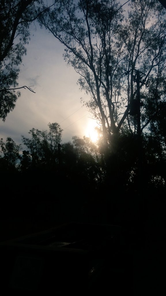 Shndownertjies tyd..sponsord by Buffels!!