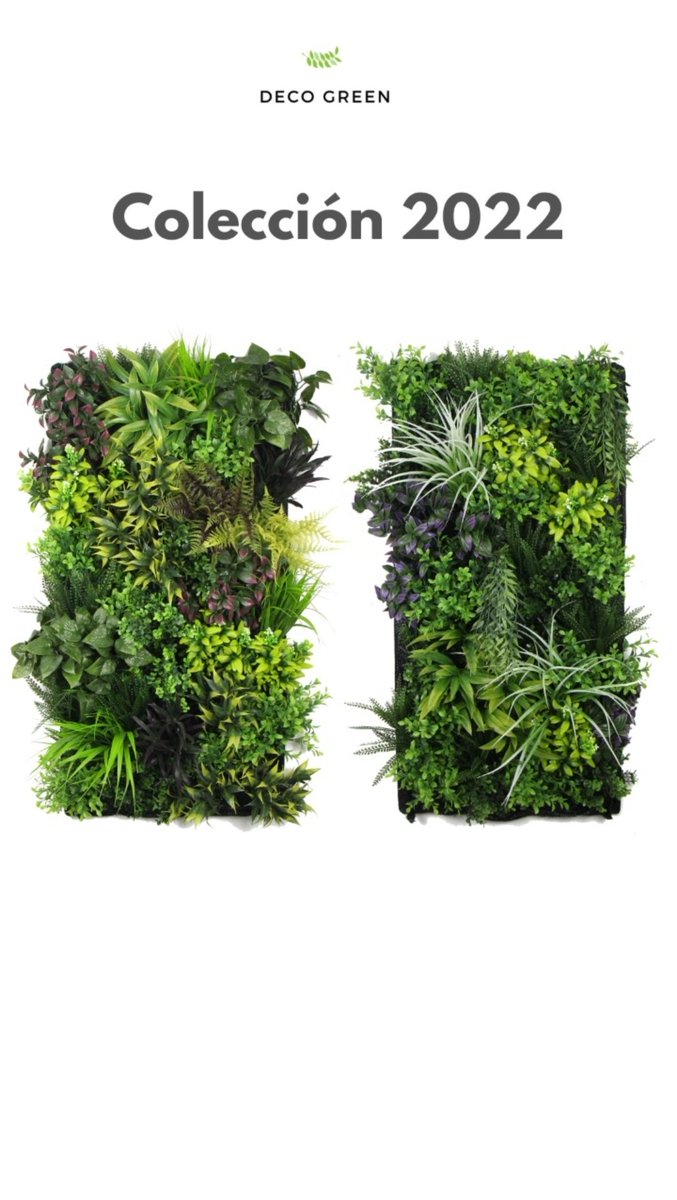 REDDECON's tweet image. Colección 2022 #MuyPronto 🇵🇦

#Decogreen #JardinVertical #Panamá