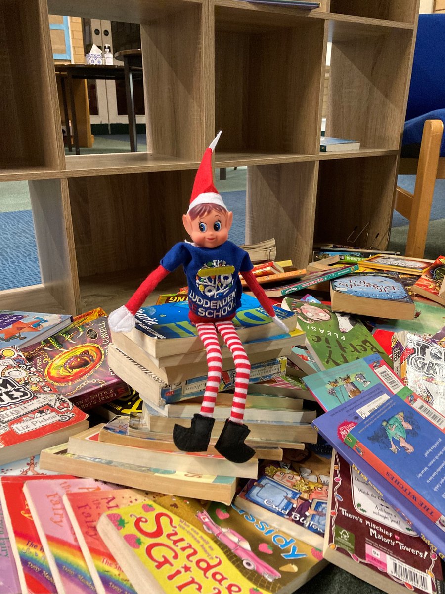 Just what we need... a new librarian!