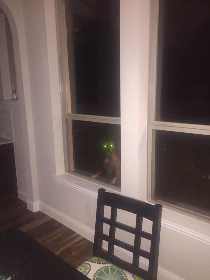 MOON KING B-ROOTS tweet media