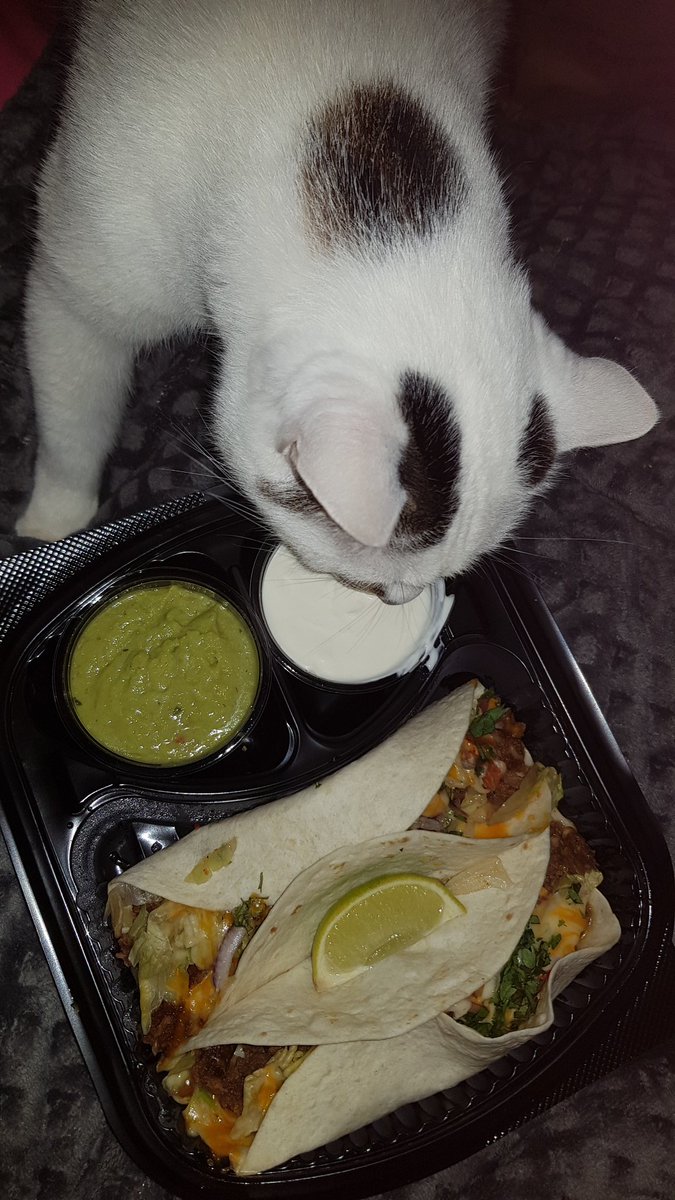 <a href="/TacoMundo/">Taco Mundo</a>NL @TacoMundo #MundoMoments 👌💕