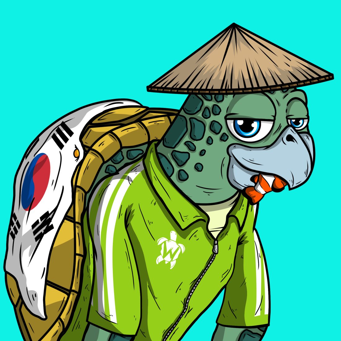 cryptodimma's tweet photo. I love my @WildTurtlesNFT Invest and help a good cause at the same time! what else do you want? #wildturtle https://t.co/PWVqTxAMU5