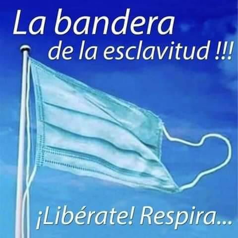 FerlePz1's tweet photo. @PorunChileDigno @meganoticiascl https://t.co/jXKtVbFxIs