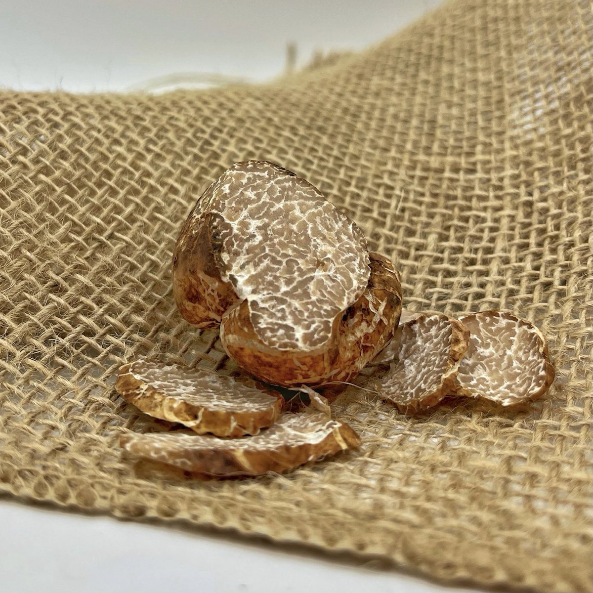 This #truffle came out of our North Carolina orchard this week. They are very close to being perfect and ready to ship!  #Foodie #restaurants