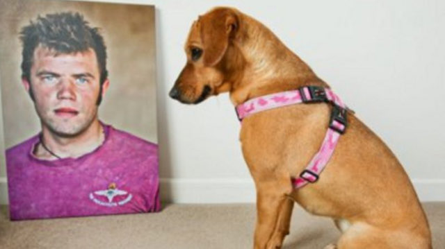 Conrad Lewis: Soldier's dog wins inspirational pet award bbc.co.uk/news/uk-englan… @bbcnews MT <a href="/Nowzad/">NOWZAD</a>  #PeoplesPetAwards