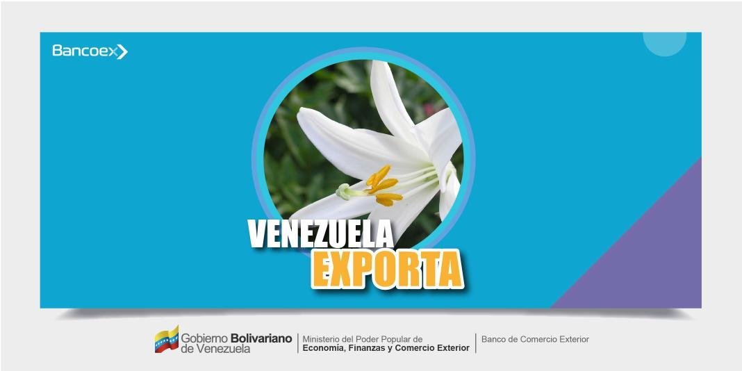 Banco de Comercio Exterior on Twitter: 