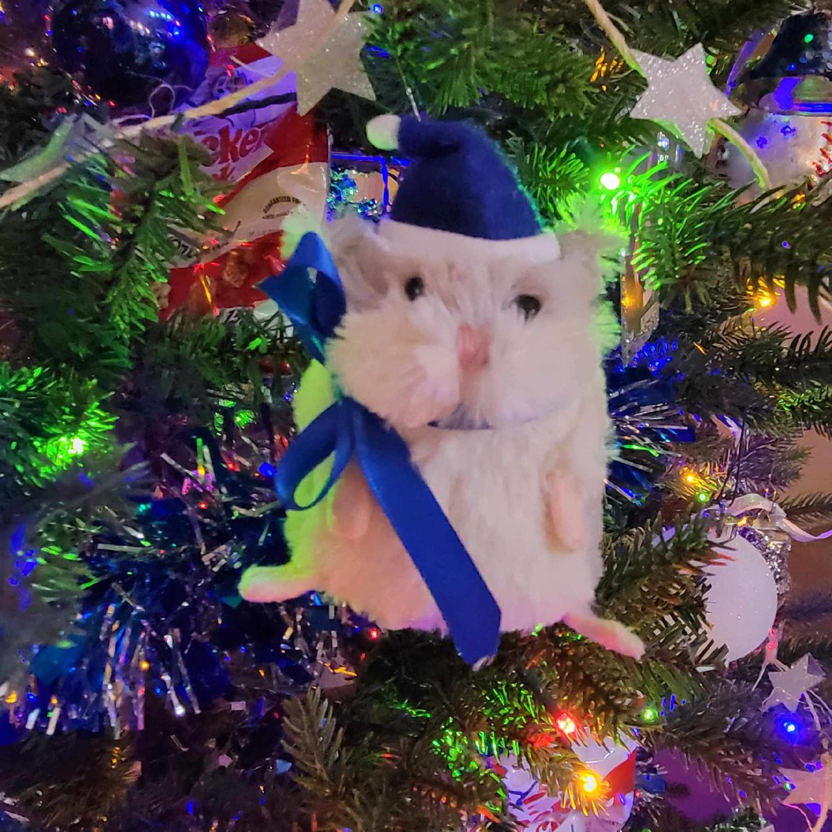 .<a href="/Dinger_04/">Dinger 🐹⚾️</a> and his holiday helpers would like to remind you to stop by the <a href="/HotelBellwether/">Hotel Bellwether</a> and VOTE for our tree! You can donate gently used clothes or cash to <a href="/SkookumKids/">Skookum Kids</a> while you're there, also. #holidaytree #festive #bellscountry