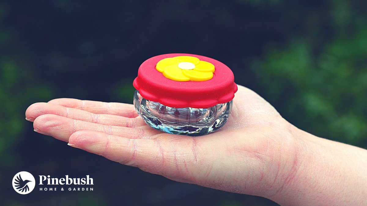 Pinebushhg's tweet photo. With the holiday season coming up just around the corner, Pinebush handheld Hummingbird feeders will make great stocking stuffers for the birding enthusiasts in your life! 

#Stockingsstuffers #Birding #Pinebush  #Hummingbirds #Holidayideas #Giftideas #Hummingbird #Holidaygifts https://t.co/5eEkcq0Cd5