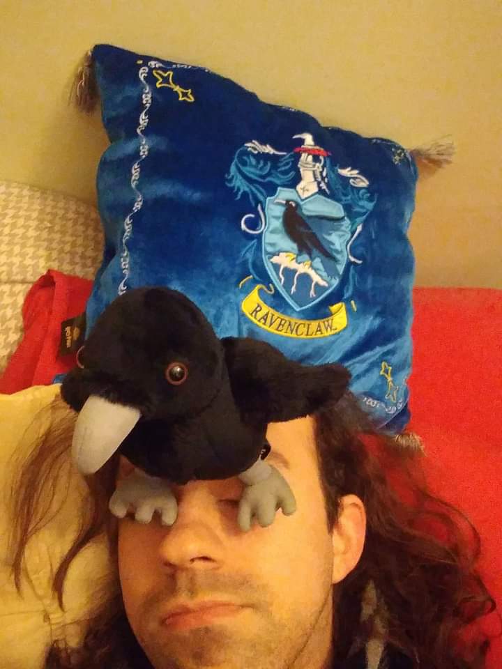 Ravenheart1006's tweet photo. Waking up with my new Hogwarts Mascot pillow I picked up at work yesterday got me like: 😴 #Ravenclaw https://t.co/9oZfbYp8fM