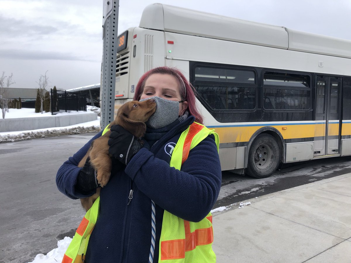 MolinaAshli's tweet photo. In light of the very real operator shortage, here’s a photo of my dog with a sweet operator. What can we do as individuals to help?  For starters, we can be kind, acknowledge that their craft is hard, and thank them for their commitment to getting us places safely. https://t.co/HdnkFdCdCQ