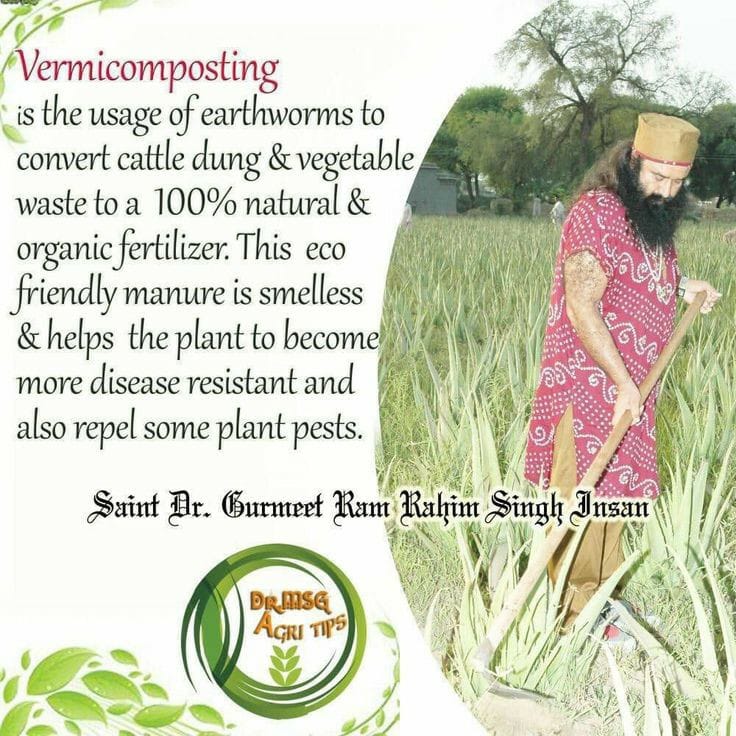 To teach methods of #ScientificFarming and #OrganicFarming to enhance crop production even in harsh conditions, #KisanMela has been organised at #DeraSachaSauda Sirsa, every year under the pious guidance of Saint Dr MSG.
#AgricutureTipsByMSG
#SaintDrMSG