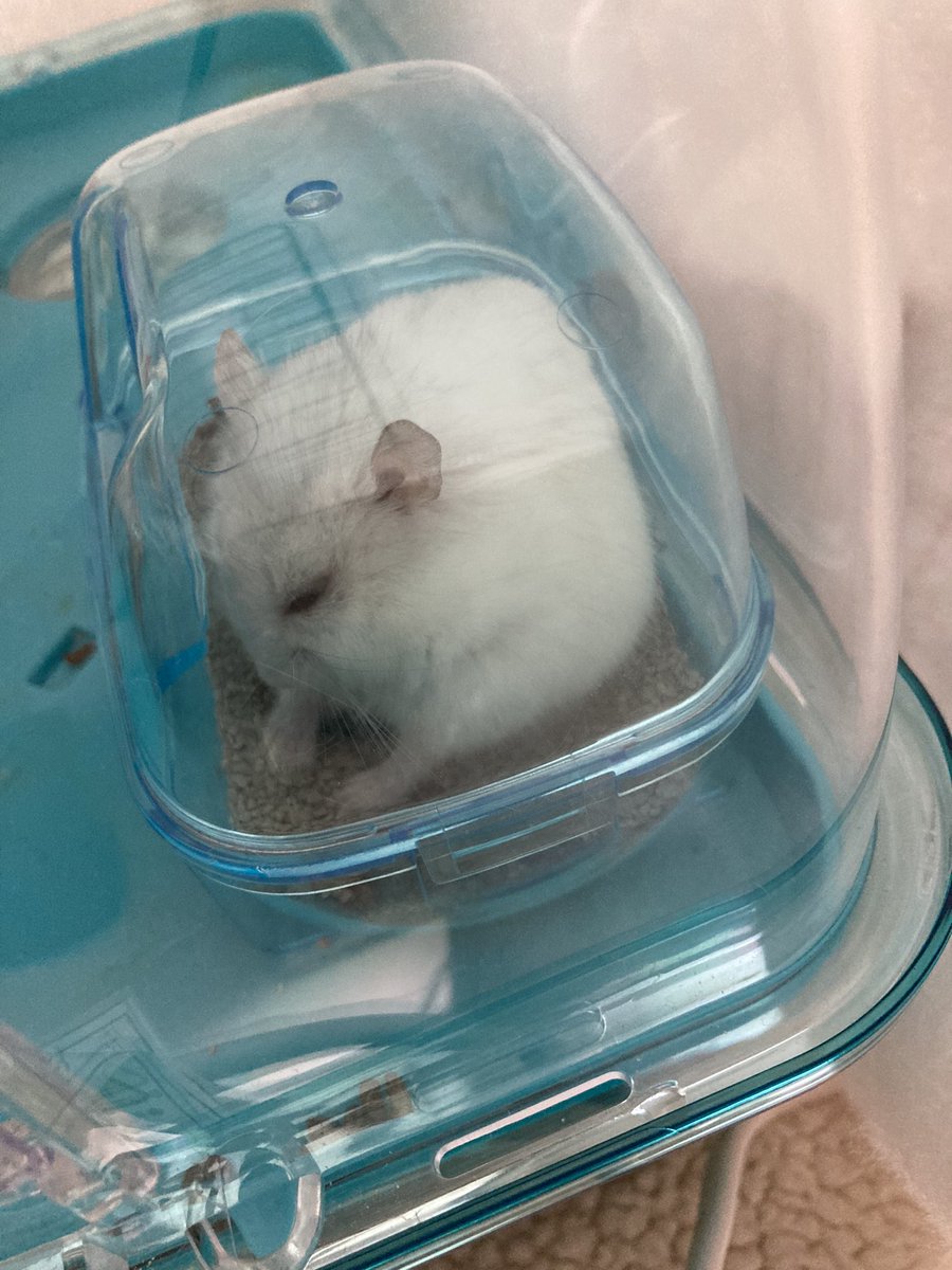 坂井剛志 tweet media