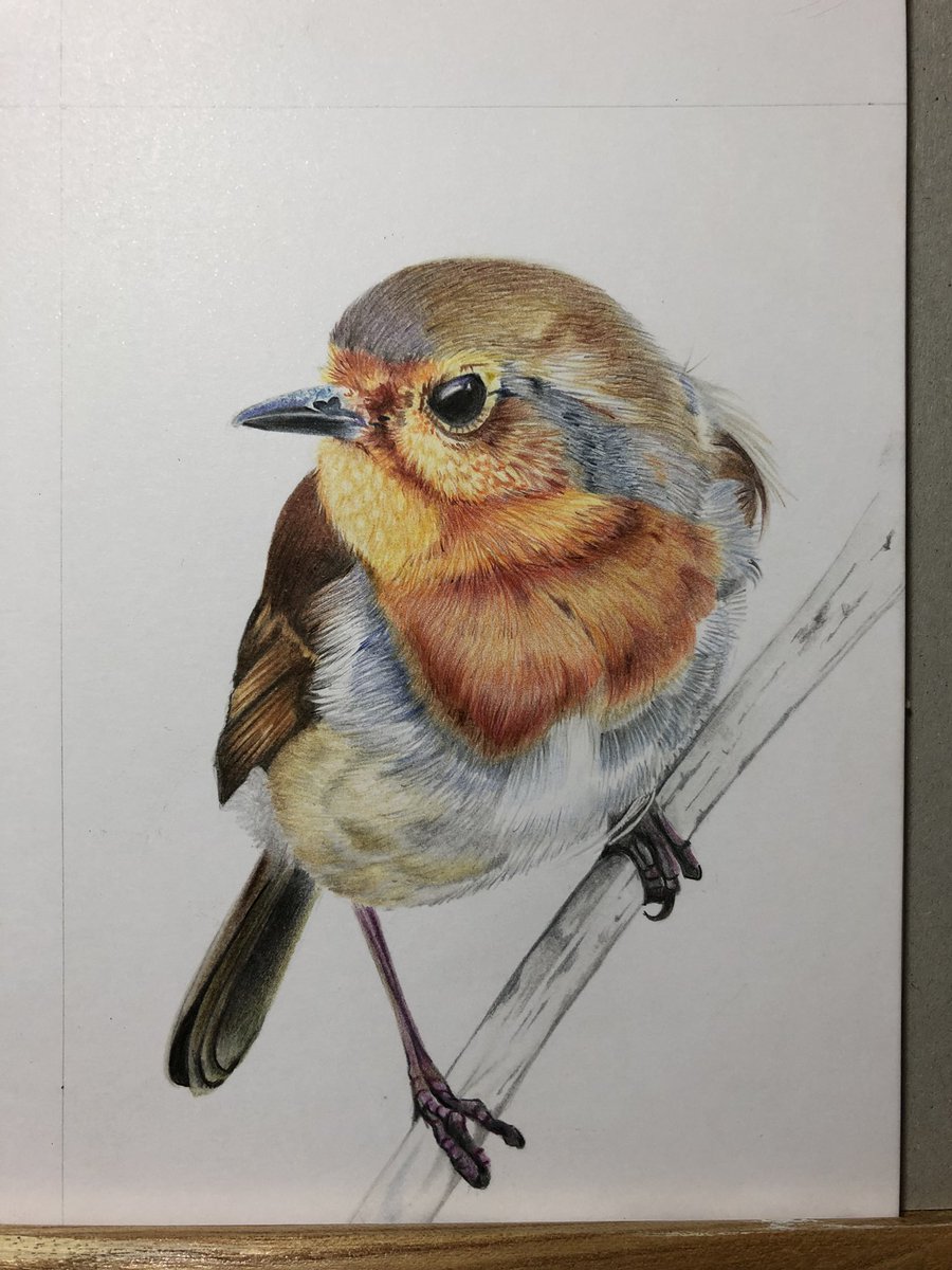 CazHallArt's tweet photo. Ooh, girl did good I think 😃 

So grateful to @janepursey for the cracking photo ref. Here is my little #Robin #RobinRedBreast almost ready to be sent to @mathewbose for @twitrartexhibit in aid of @encephalitis #TAE22 ❤️ https://t.co/W9w24CaQQH