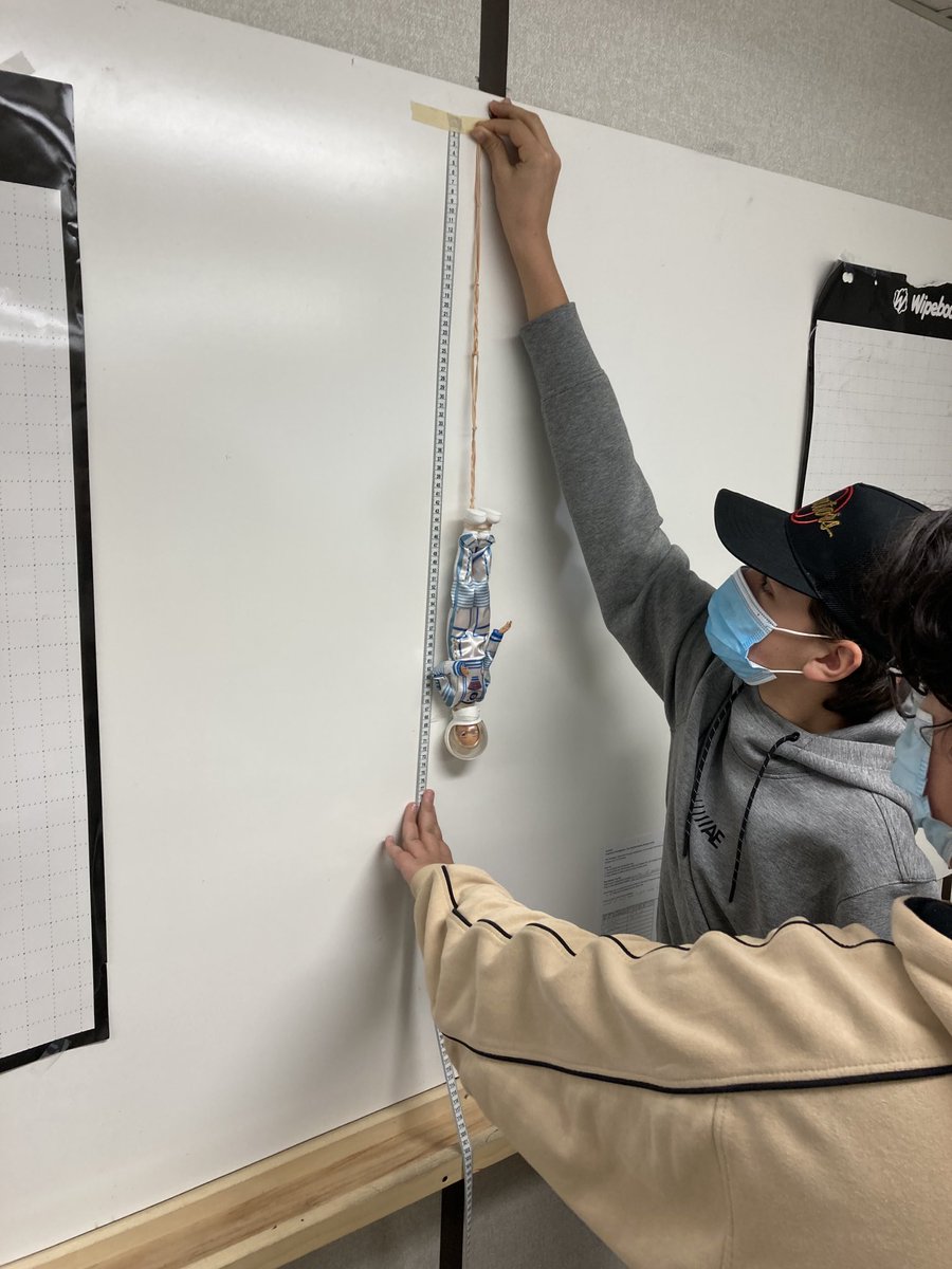 Barbie bungee in #MTH1W! Collecting data then extrapolating to predict the number of elastics needed to give Barbie a safe yet thrilling ride from 5.5m!