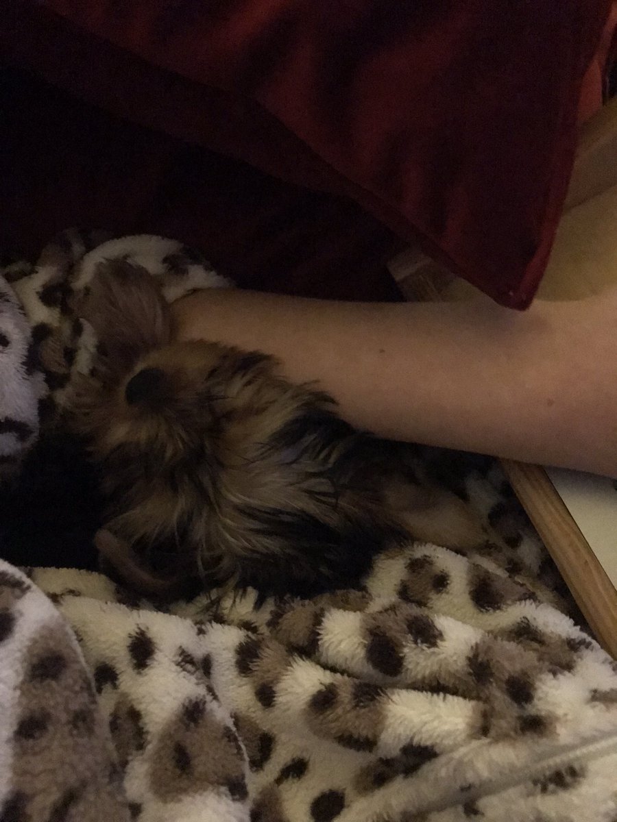 she's also playing genshin :>>