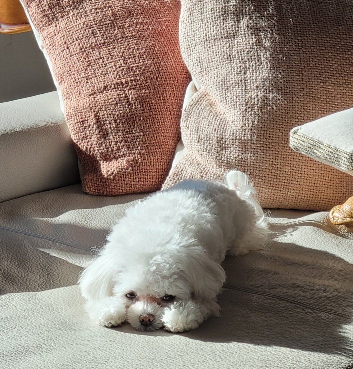 Robin Lee tweet media