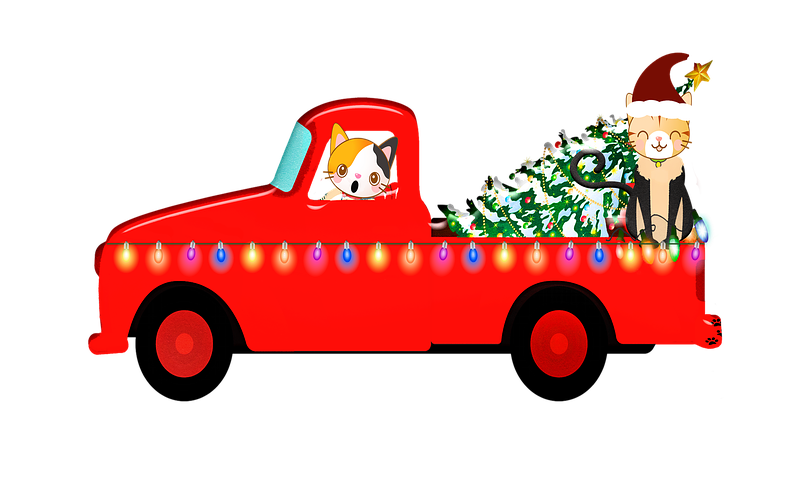CraneBankGarage's tweet photo. Is your car ready for Christmas? 🚗 🎅 🎄
With only 2 weeks to go until the big day, whether you'll be travelling or just shopping your car is important. 
Why not book in for a free winter check today! 01244 317191 📞😆 https://t.co/umLO1akj8v