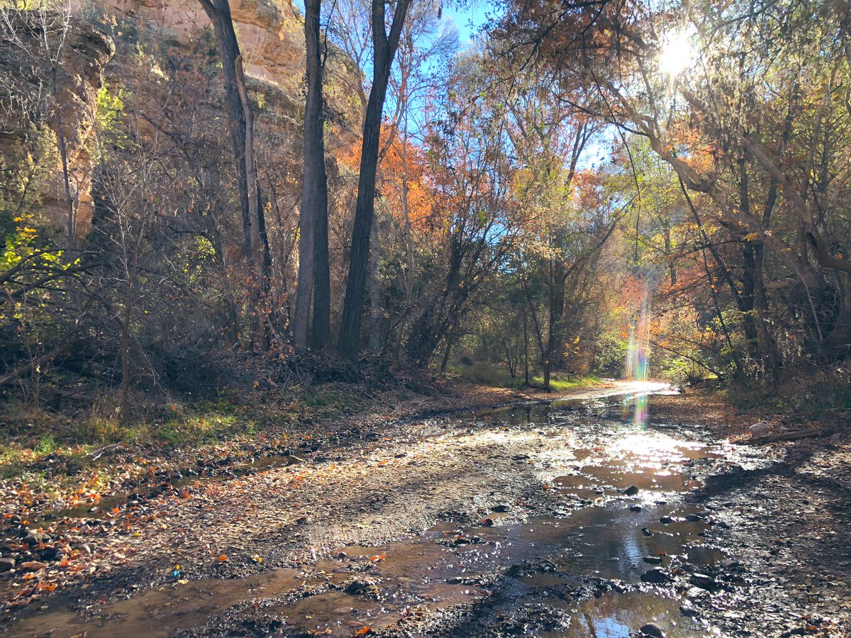 swampmonstah's tweet image. This week I visited the gorgeous @nature_org’s Aravaipa preserve- an incredible Arizona riparian canyon! We’re thinking about how local #groundwater changes may impact Aravaipa’s water security in the future #TNC #CoproductionOfKnowledge #biodiversity #FieldPhotoFriday