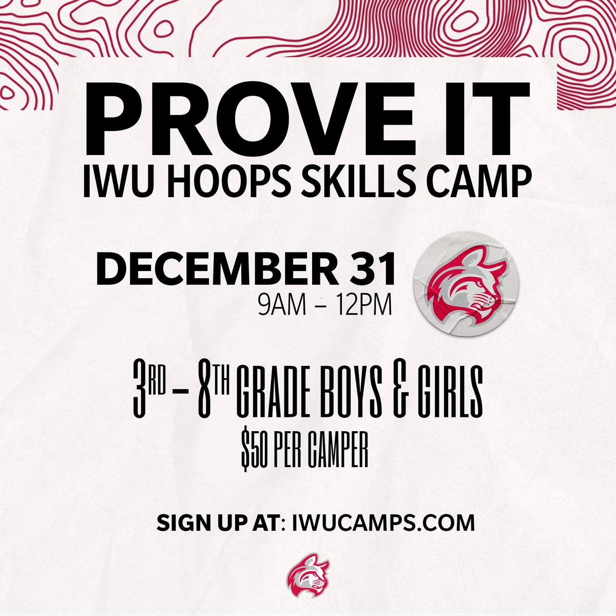 IWU Hoops tweet media