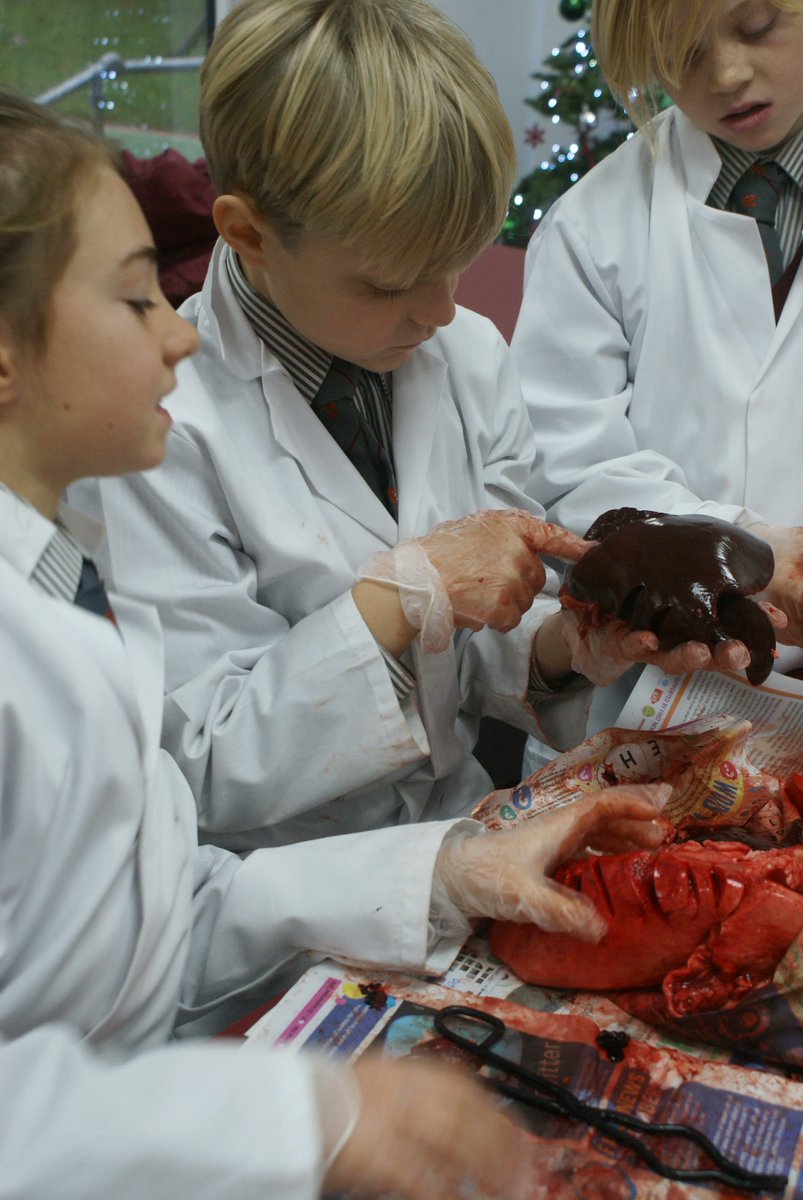 hunterhall_sch's tweet photo. It may be Christmas but its still Science lessons too – year 6 get to grips with a dissection lesson.
#hunterhallschool #penrith #cumbria #science #disection #Year6 #biology #learning https://t.co/wZmFanokmA
