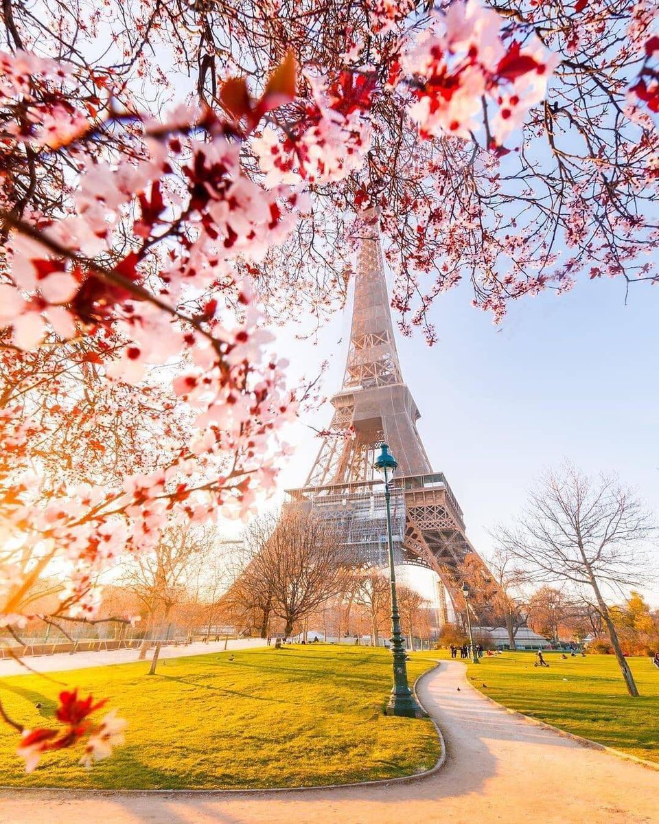 Beautiful weekend for all 🌸❤️🌸