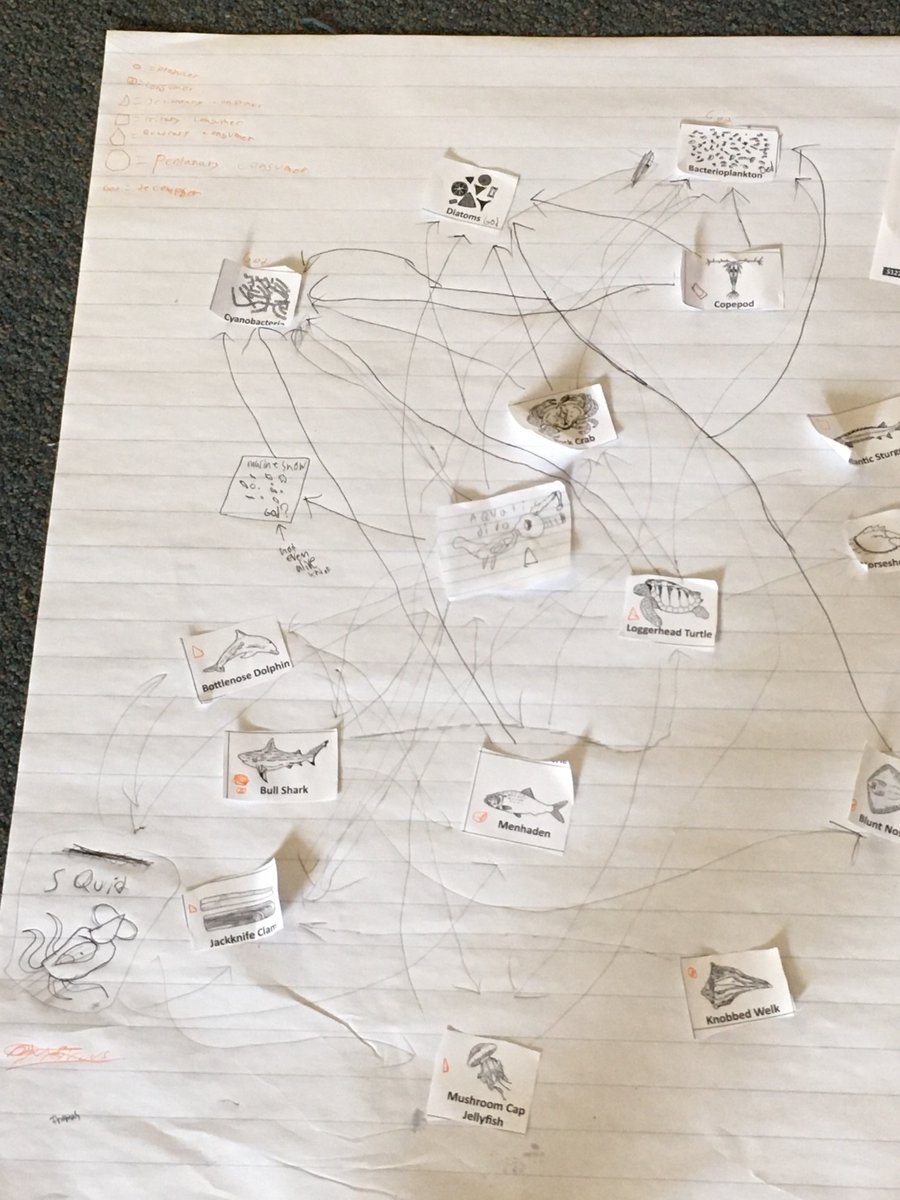 We are constructing marine food webs in science today. Yum! Good thing it is just about lunch time :)