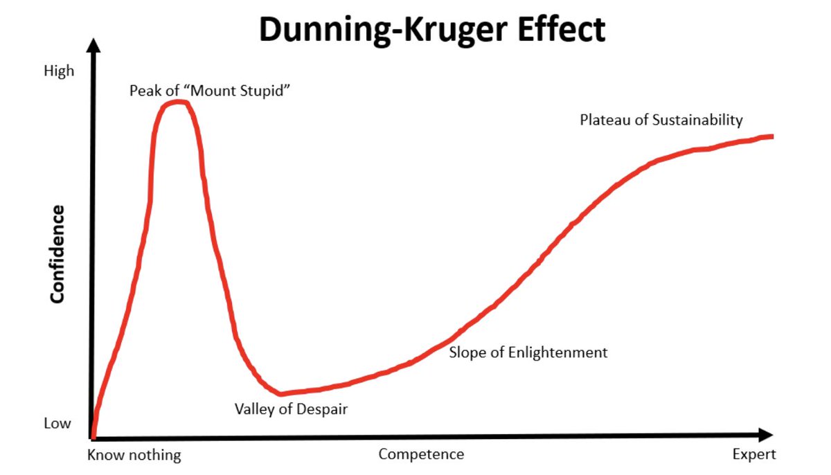 Даннинг крюгер. Dunning kruger effect meme. Dunning kruger effect marasmus. Dunning kruger effect. Dunning kruger effect.