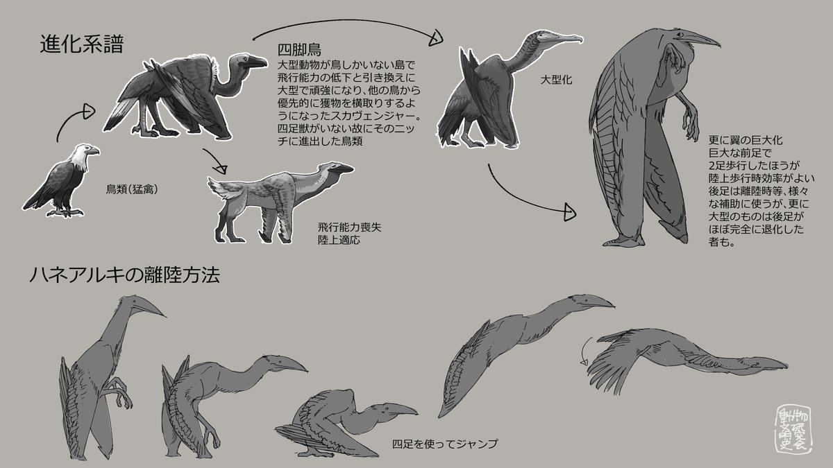 羽で二足歩行する鳥 #動物文明史記 