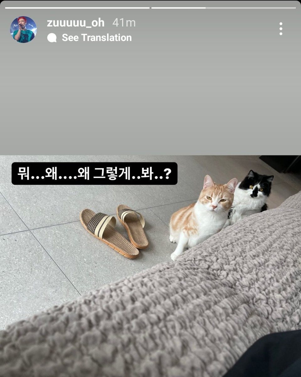 sepgoose's tweet photo. hahahaha zuho asking why #HURU and #PPANG is staring at him like this has just made my night xD
Huru's face lollll
@SF9official #SF9 #ZUHO https://t.co/o4DfKdXKEi