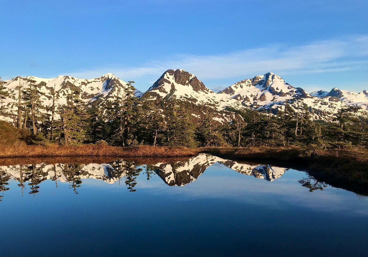 Today, 10 December, is #HumanRightsDay. We at #NativeConservancy, recognize and affirm the #UnitedNations Universal Declaration of Human Rights.

“I believe a safe and clean environment is also a human right, as our survival depends on it”. <a href="/Dune_Lankard/">Dune Lankard</a>

#Conservation