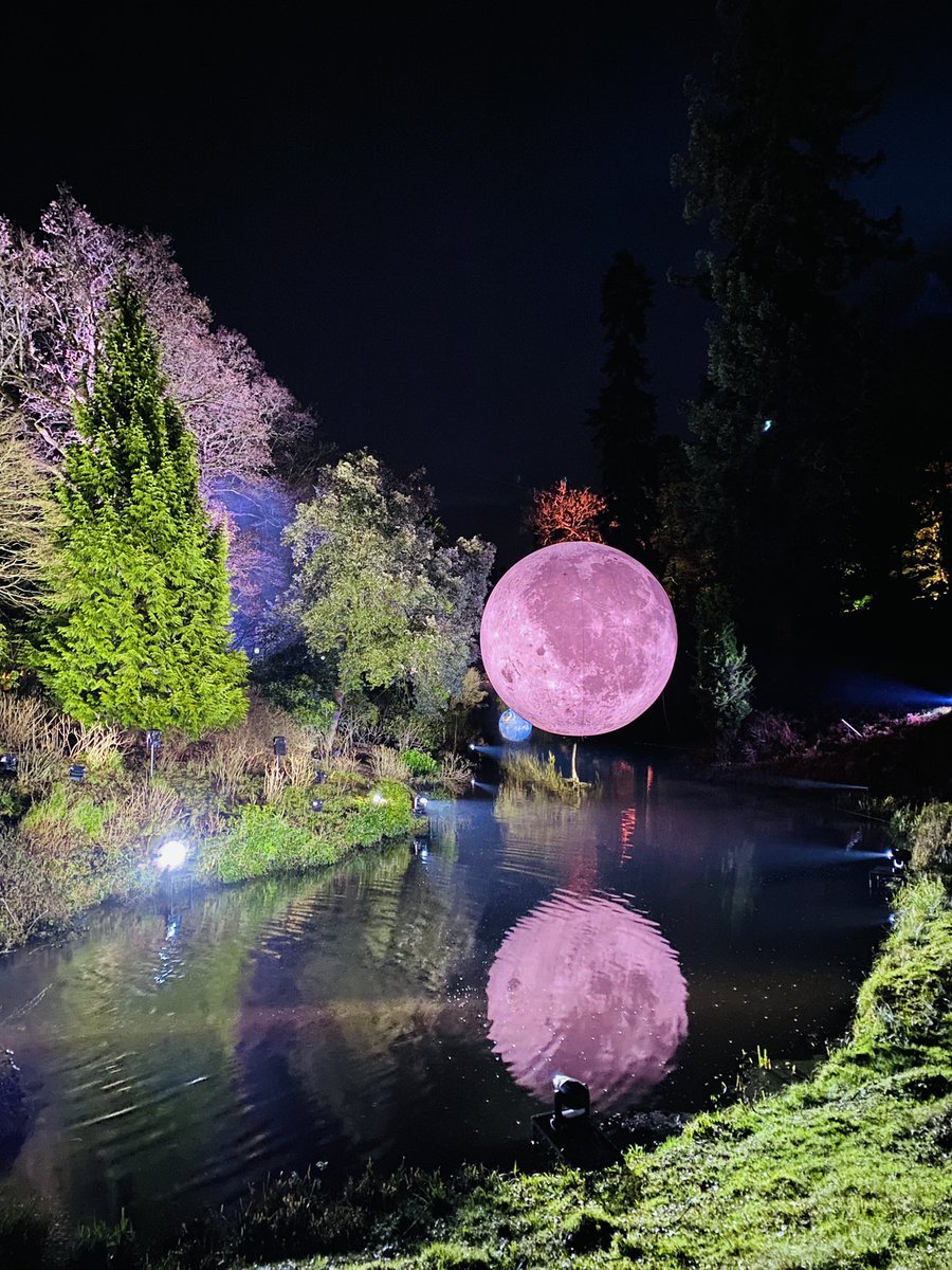 Shepherd House -  Occupational Therapy tweet media