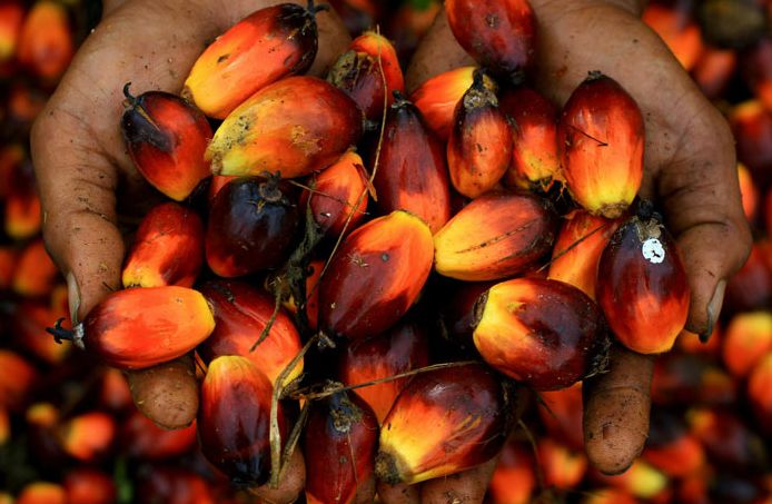 Facts you need to about India’s palm oil production since 2016-17?

#Click 2 Read: agriculturepost.com/facts-you-need…

#PalmOil #NMEOOP #OilPalm #OilPalmResearch @PIBAgriculture