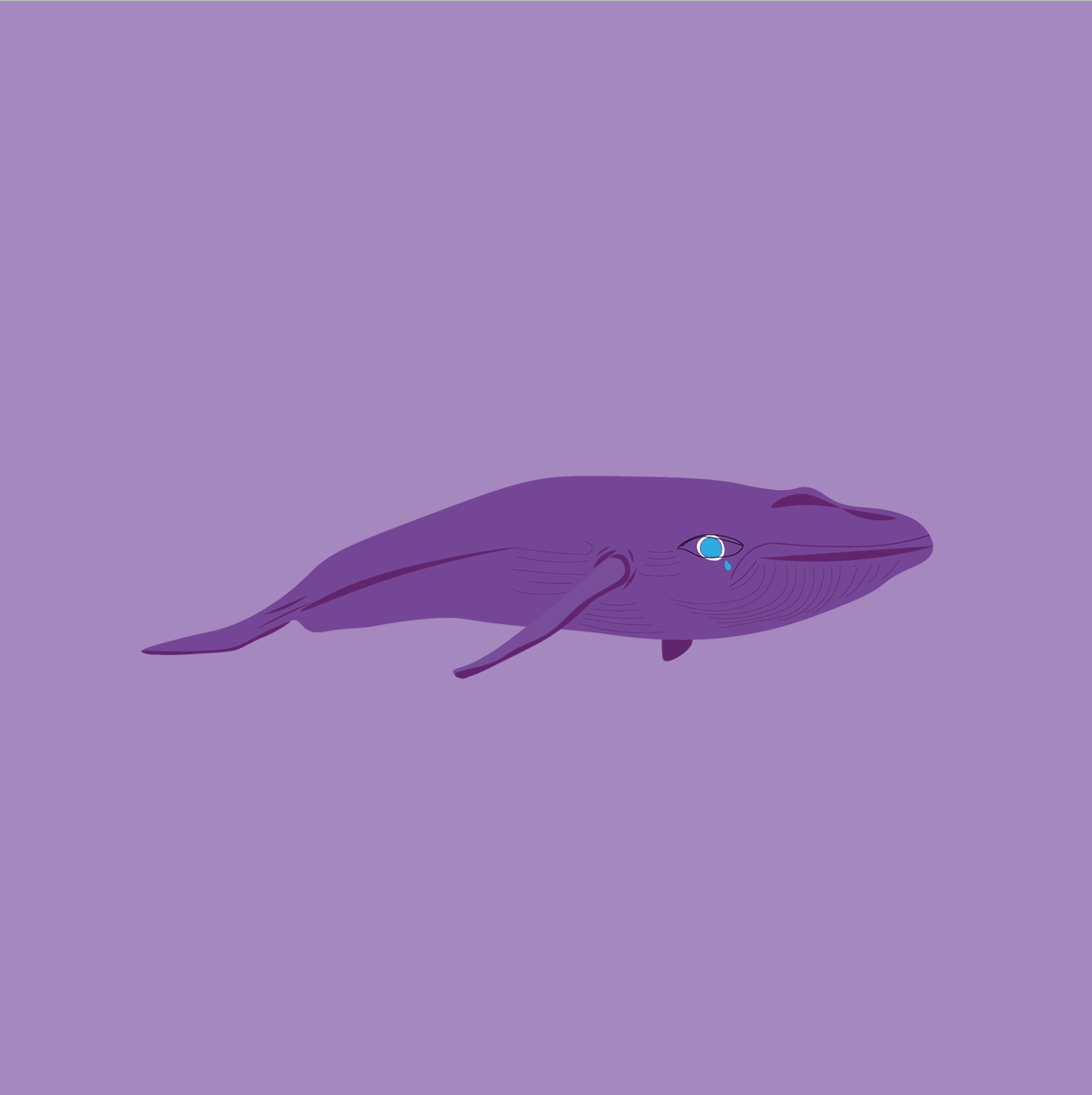 observ_art's tweet photo. Are you ready 👀🐋?
@byMima00 

#NFT #nftart #NFTCommmunity #NFTartist #NFTshill #NFTcollection #NFTcollectible #ETH #Ethereum #NFTdrops #NFTsale #NFTSPACESHIP #nature #WHALES #Oceans #nftcollector https://t.co/7IYxhtKXL2