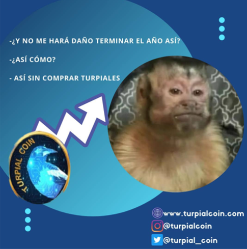 Turpial_coin's tweet photo. $TURPIAL
Price : $ 0,0043 🚀🚀🚀🚨🚨🚨
Supply only: 21,000,000
#CryptoNews 
#Bitcoin 
#EstadosUnidos 
#shibainu 
#dogecoin 
#Metaverse 
#BNB 
Web: https://t.co/v84beJCSRG https://t.co/Ehbh54b4Rq