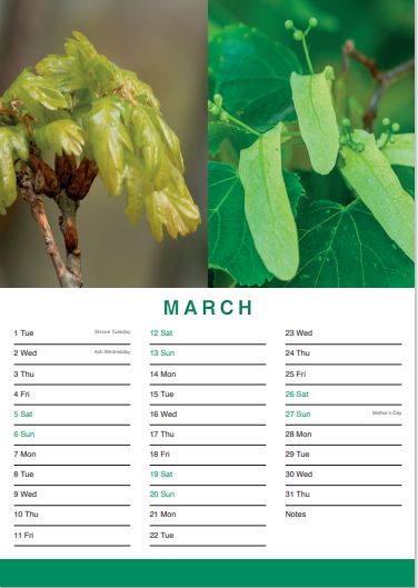 Sally Sanderson (@sallychairfohp) on Twitter photo Kaya cafe are very kindly now selling our calendars of <a href="/HorshamPark/">Friends Of Horsham Park</a> featuring stunning photos by Ian Nicol. If you missed outearlier, pop over to @kayahorsham pick one up and have a lovely hot chocolate to get rid of the winter chills while you're there! A3 size and £10.00 each. Kaya cafe are very kindly now selling our calendars of <a href="/HorshamPark/">Friends Of Horsham Park</a> featuring stunning photos by Ian Nicol. If you missed outearlier, pop over to @kayahorsham pick one up and have a lovely hot chocolate to get rid of the winter chills while you're there! A3 size and £10.00 each.