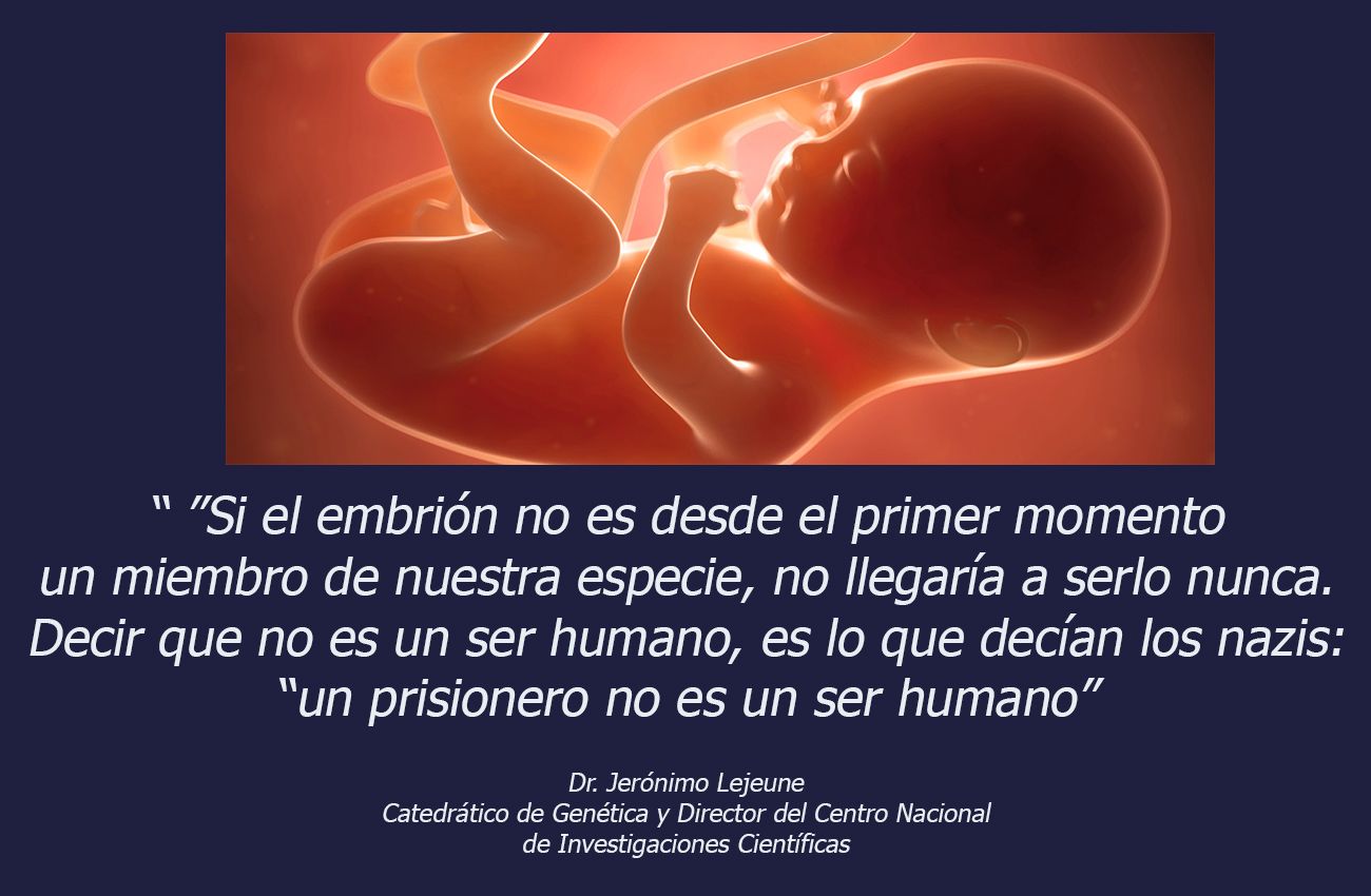 Dia de la implantacion del embrion