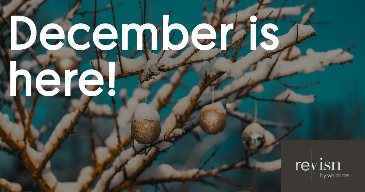 stayRevisn's tweet photo. Much to see and do this December in Raleigh! Read #Revisn #CorporateApartments latest newsletter on our blog now: https://t.co/LEljm0bMEY https://t.co/PWD1Z7HTZQ