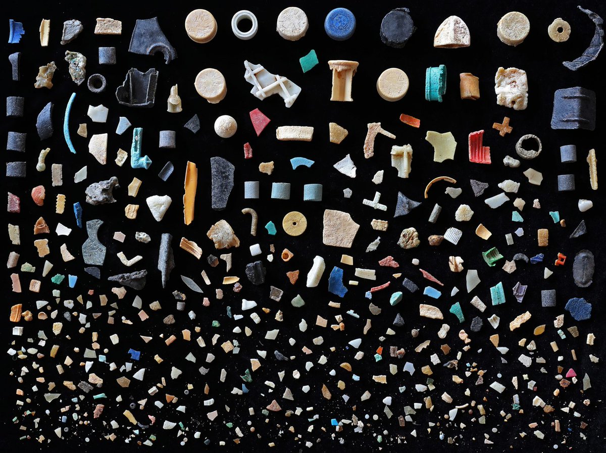 AestheticaMag's tweet photo. Our Plastic Ocean

Photographer Mandy Barker collects debris from shorelines across the world and transforms them into powerful and captivating images – addressing the current global crisis of marine plastic pollution. @collectionusher until 19 December. https://t.co/t0gnNChYEK https://t.co/VQQiWWJ4GY