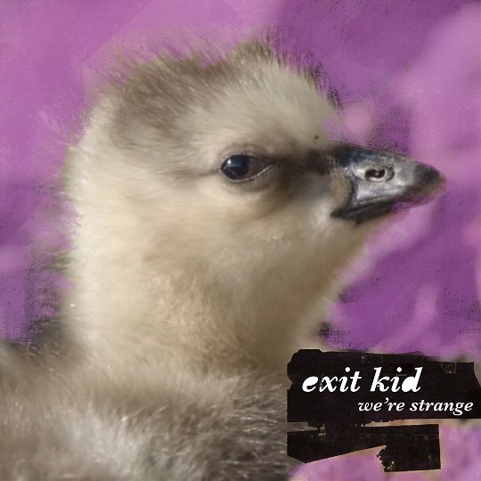 yearshq's tweet image. Exit Kid’s brand-new single release ‘We’re Strange’ off the EP ‘Basis’ is out now!. 🐣 go listen to all streaming platforms. #exitkid

youtu.be/l8qlWrGYF9s