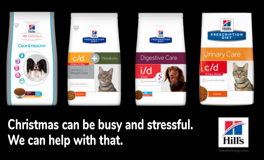 Hill's Vets, Vet Nurses and Students UK & IE tweet media