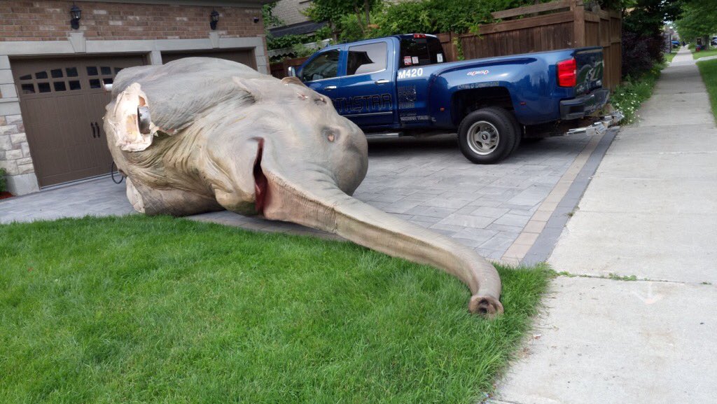 huzzy_'s tweet image. Don’t mess with TF blade #ripbozo #patchwerk