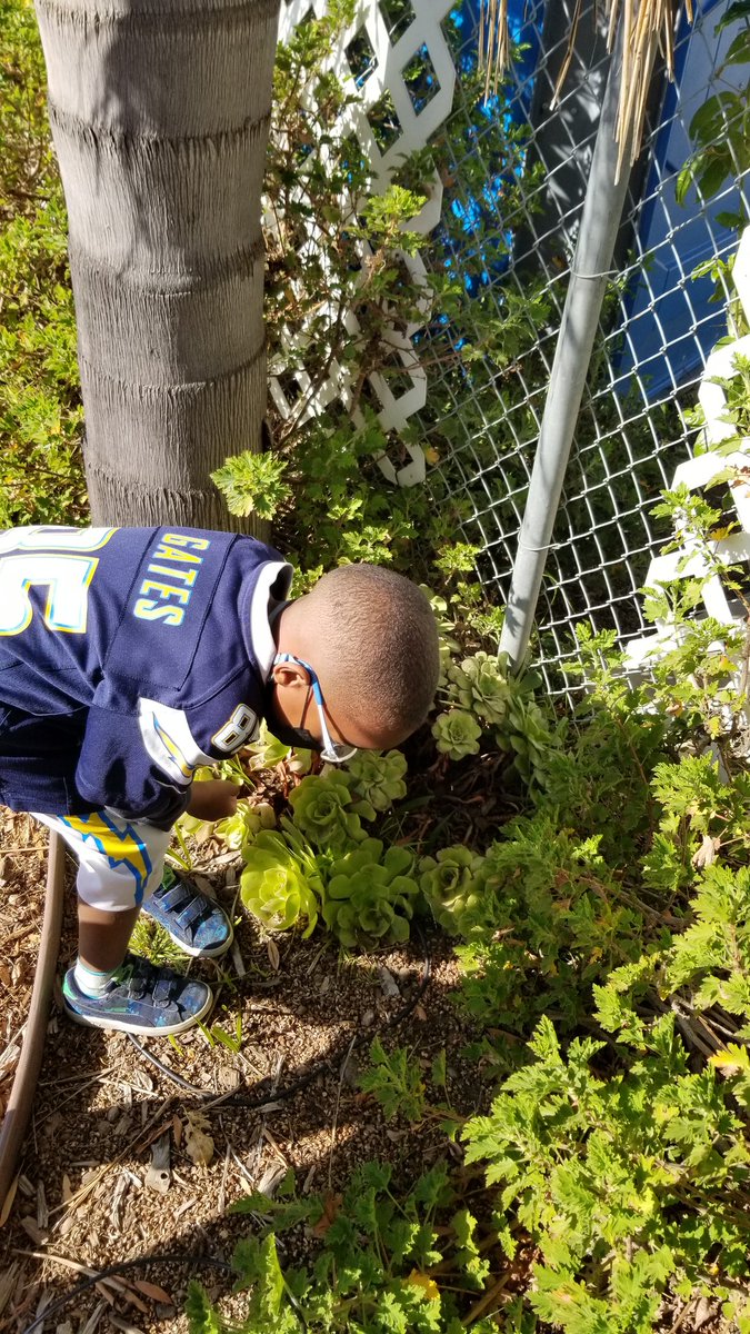 As part of our weekly Wonders reading curriculum theme about gardens,  we enjoyed the genre of theatrical plays in partner reading and took a purposeful observational trip to the school garden to explore non-fiction reading connections. #dmheights
